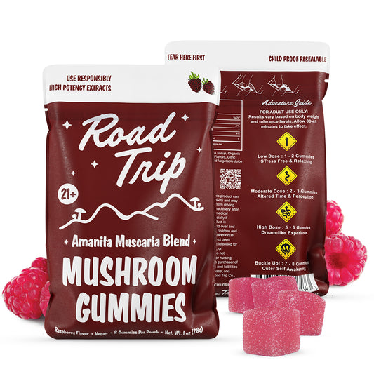 Amanita Muscaria Mushroom Gummies - Raspberry