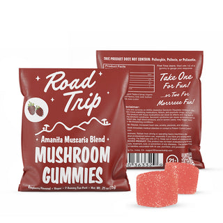 Amanita Muscaria Mushroom Gummies - Raspberry